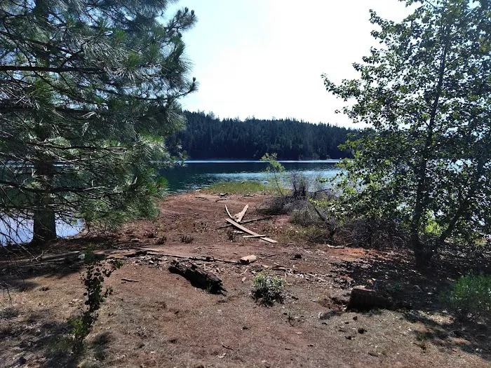 Minersville Campground Picture 10