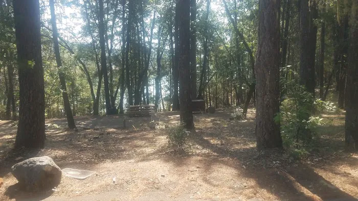 Minersville Campground Picture 7