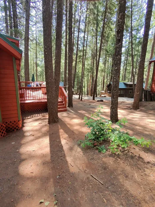Pinewood Cove Resort Picture 4