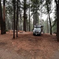 Pinewood Cove Resort ico