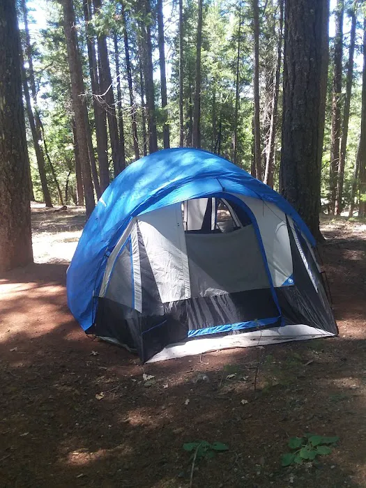 Bushytail Campground Picture 10
