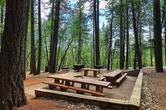 Bushytail Campground Picture 7