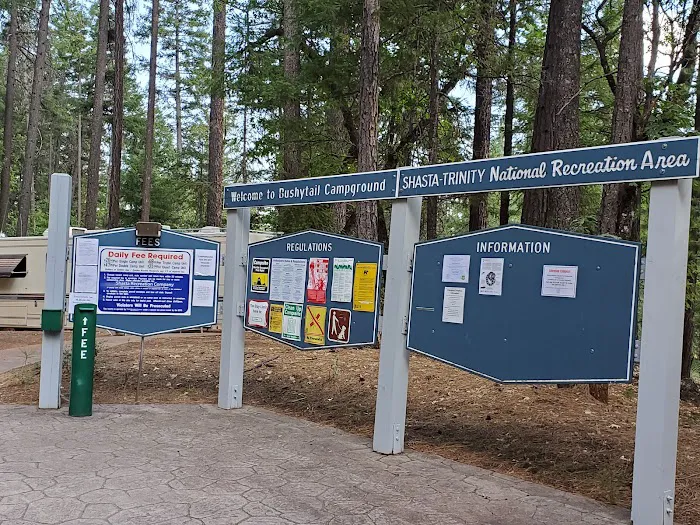 Bushytail Campground Picture 9