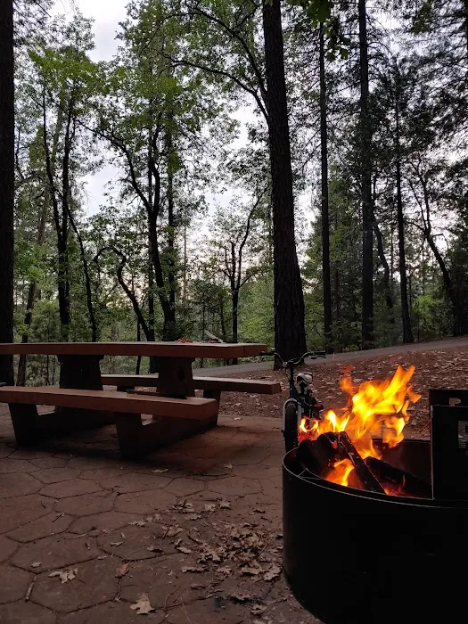 Bushytail Campground Picture 8
