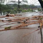 Gregory Creek Group Campground