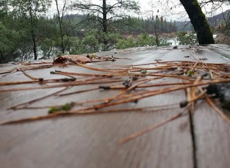Gregory Creek Group Campground