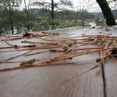 Gregory Creek Group Campground