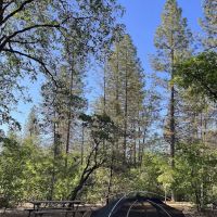 Lakehead Campground & RV Park ico