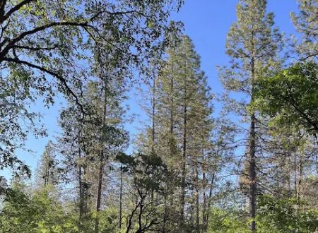 Lakehead Campground & RV Park
