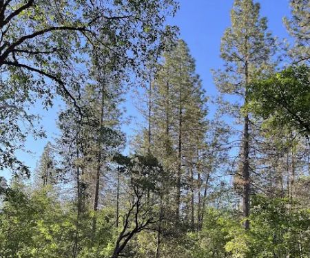 Lakehead Campground & RV Park