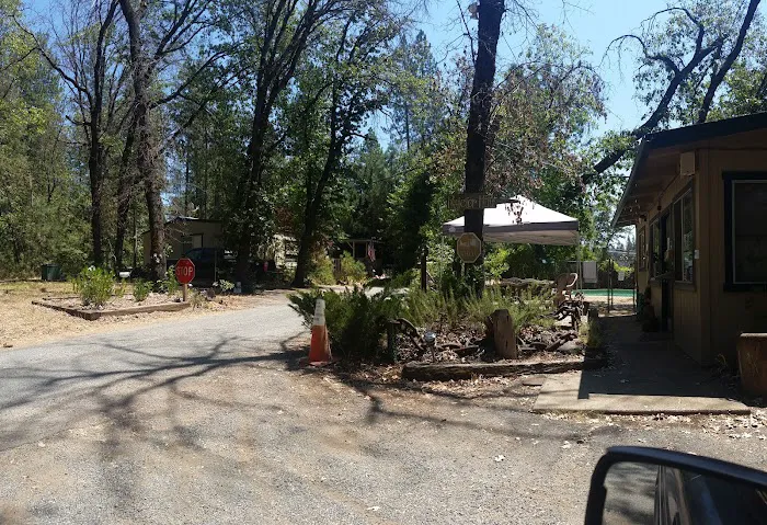 Lakehead Campground & RV Park Picture 6
