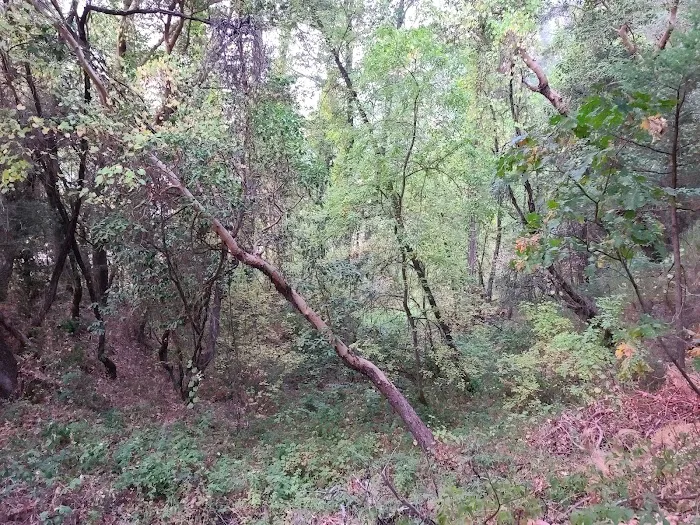Junction City Campground Picture 5