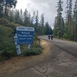 Stoney Group Shasta-Trinity Campground