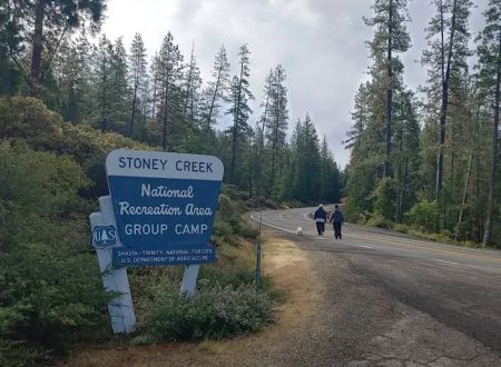 Stoney Group Shasta-Trinity Campground