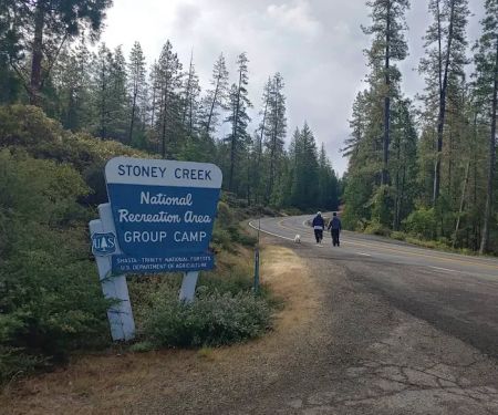 Stoney Group Shasta-Trinity Campground