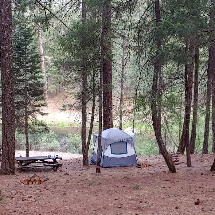 Stoney Group Shasta-Trinity Campground Picture 2