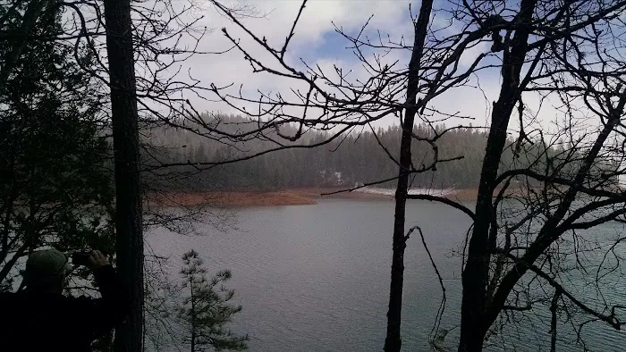 Stoney Group Shasta-Trinity Campground Picture 4