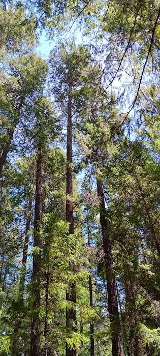 Alpine View Campground Picture 1