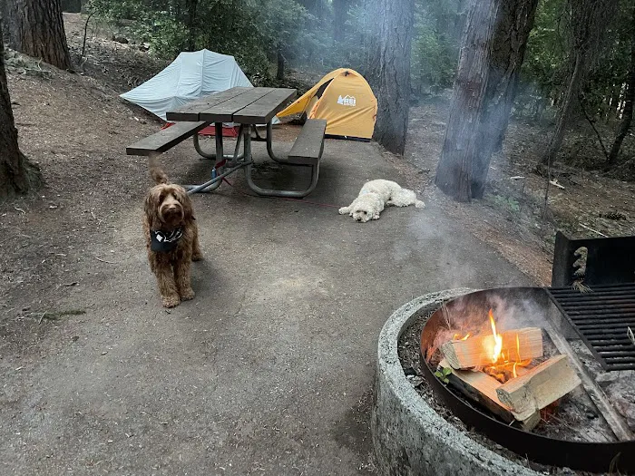 Alpine View Campground Picture 3