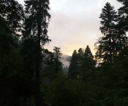 Trinity Outpost Wilderness Resort