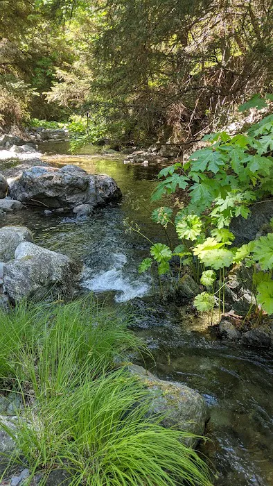 Trinity Outpost Wilderness Resort Picture 7