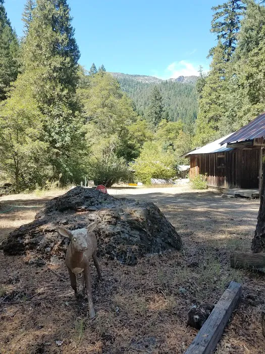 Trinity Outpost Wilderness Resort Picture 9