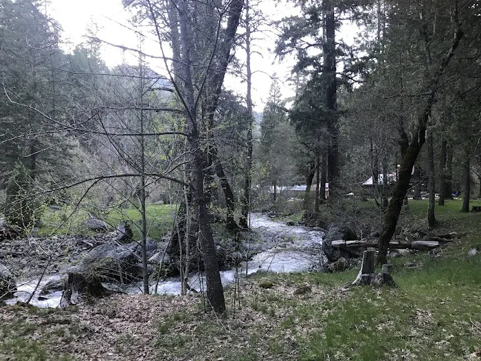 Deerlick Springs National Forest Campground Picture 6
