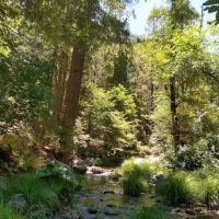 Deerlick Springs National Forest Campground ico