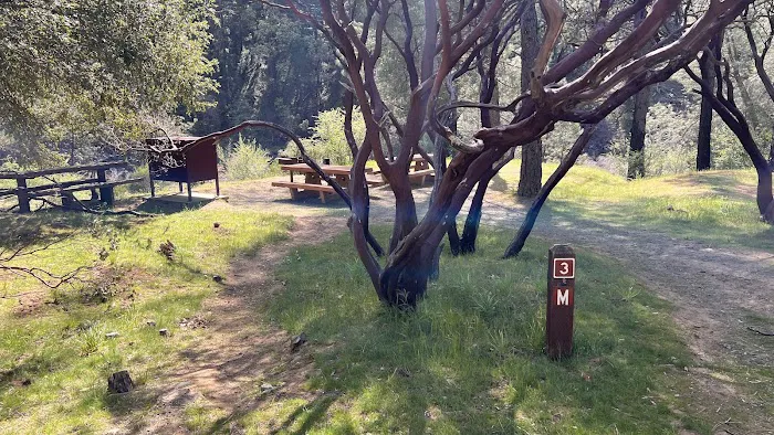 Pigeon Point Campground Picture 4