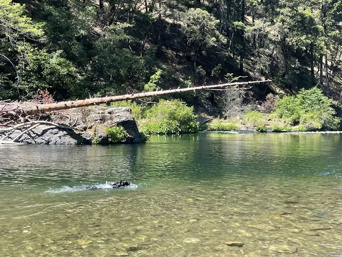Pigeon Point Campground Picture 5