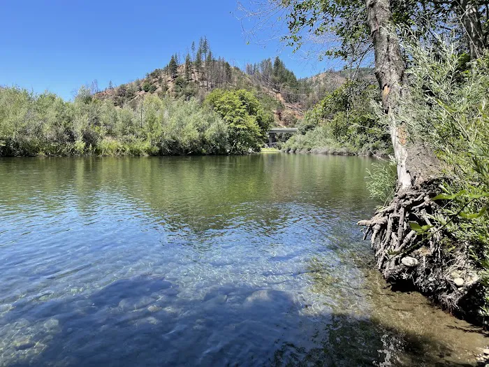 Pigeon Point Campground Picture 1