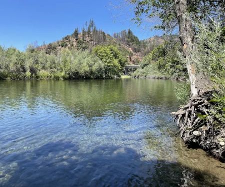 Pigeon Point Campground