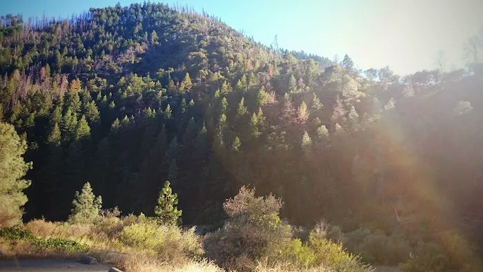 Pigeon Point Campground Picture 6