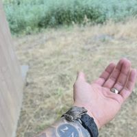 Sugarfoot Glade Campground ico