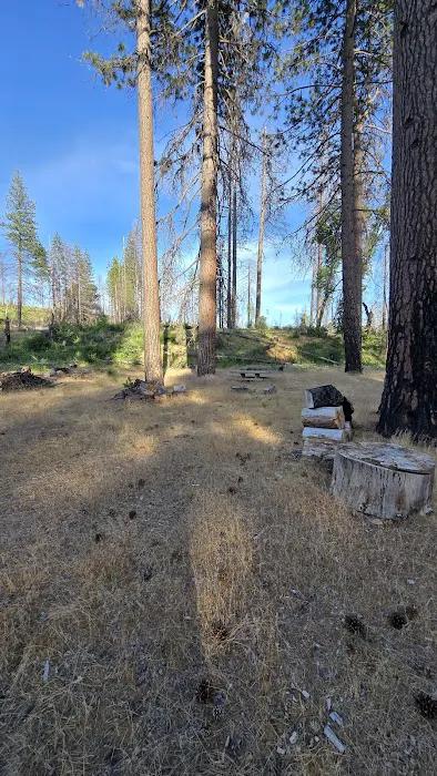 Sugarfoot Glade Campground Picture 3
