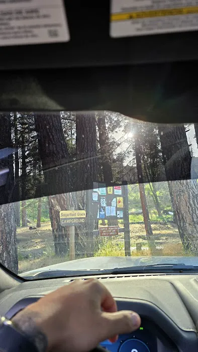 Sugarfoot Glade Campground Picture 2