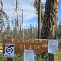 Kingsley Glade Campground ico