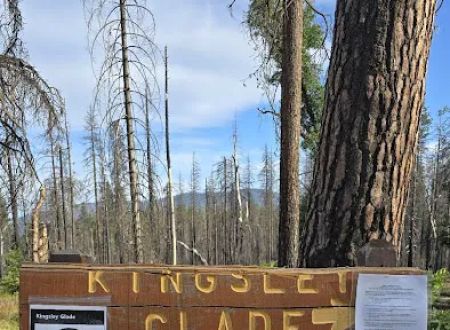 Kingsley Glade Campground