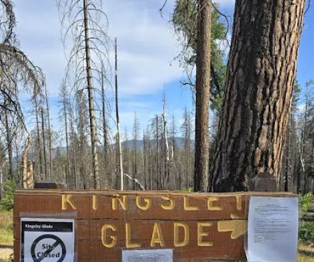 Kingsley Glade Campground