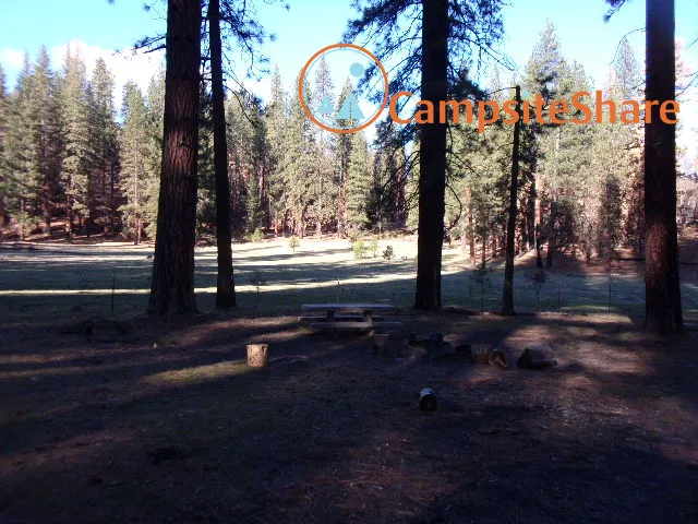 Kingsley Glade Campground Picture 10