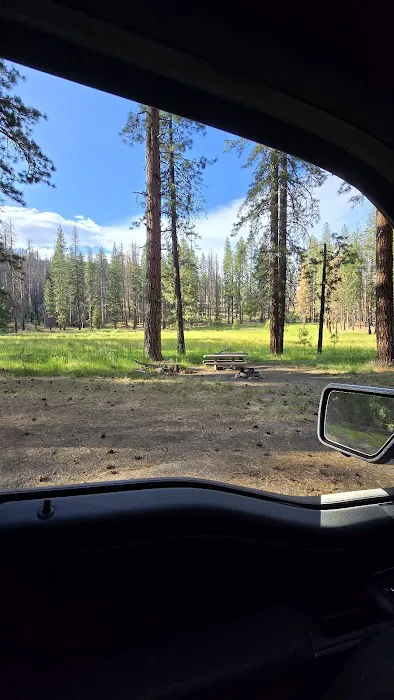 Kingsley Glade Campground Picture 5