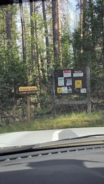 Kingsley Glade Campground Picture 9