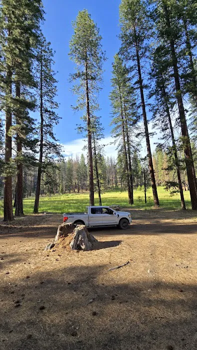 Kingsley Glade Campground Picture 6