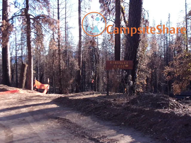 Kingsley Glade Campground Picture 8