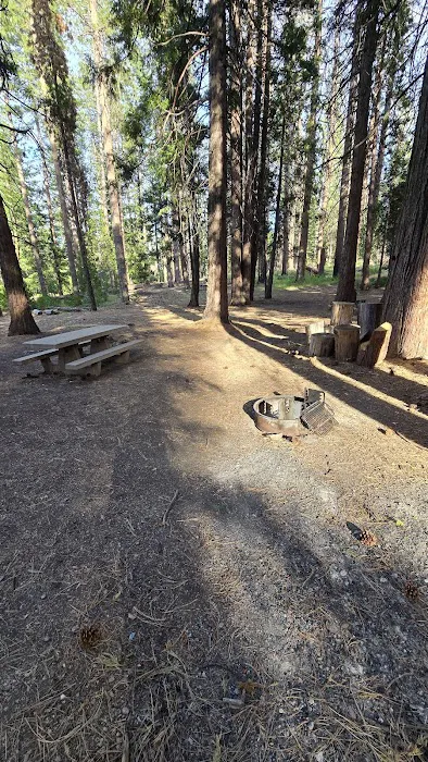 Kingsley Glade Campground Picture 4