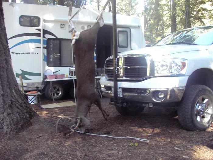 Three Prong Campground Picture 5