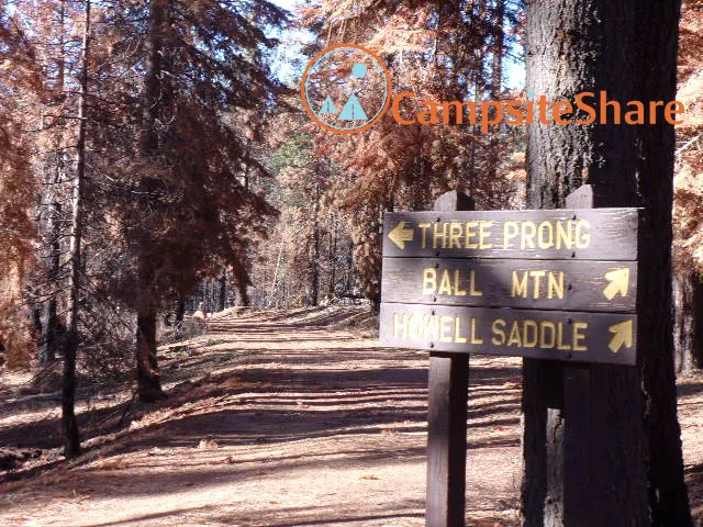 Three Prong Campground Picture 1