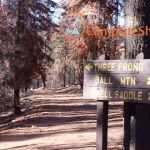 Three Prong Campground