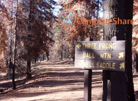 Three Prong Campground