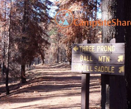 Three Prong Campground